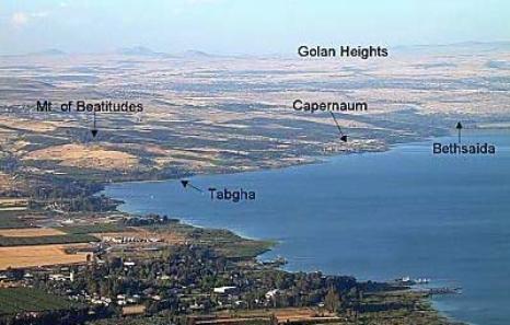 Shore of the northern end of the Sea of Galilee. Photo copyrighted, BiblePlaces.